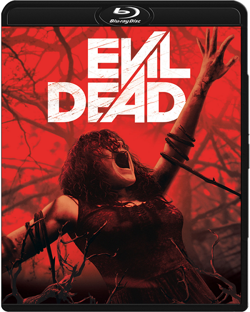 Martwe zło / Evil Dead (2013) MULTi.1080p.BluRay.x264.DTS.AC3-DENDA / LEKTOR i NAPISY PL