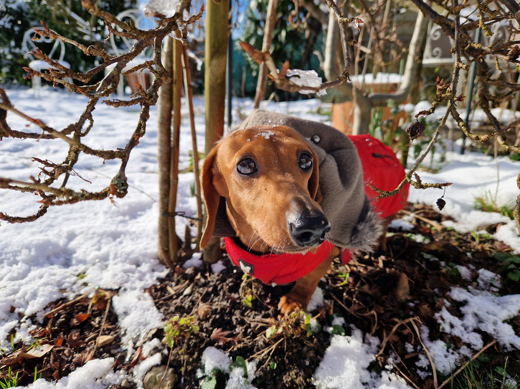 [Image: 20230120-131151.jpg]