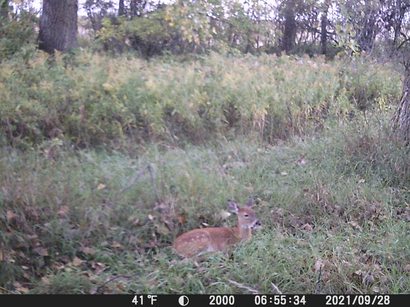 50E1762F-E9EE-45A5-A590-085B4390CA62