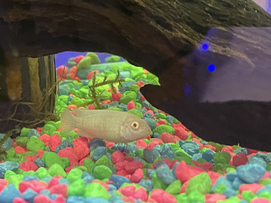 10C36754-CABB-403B-B296-534F3A2A5130