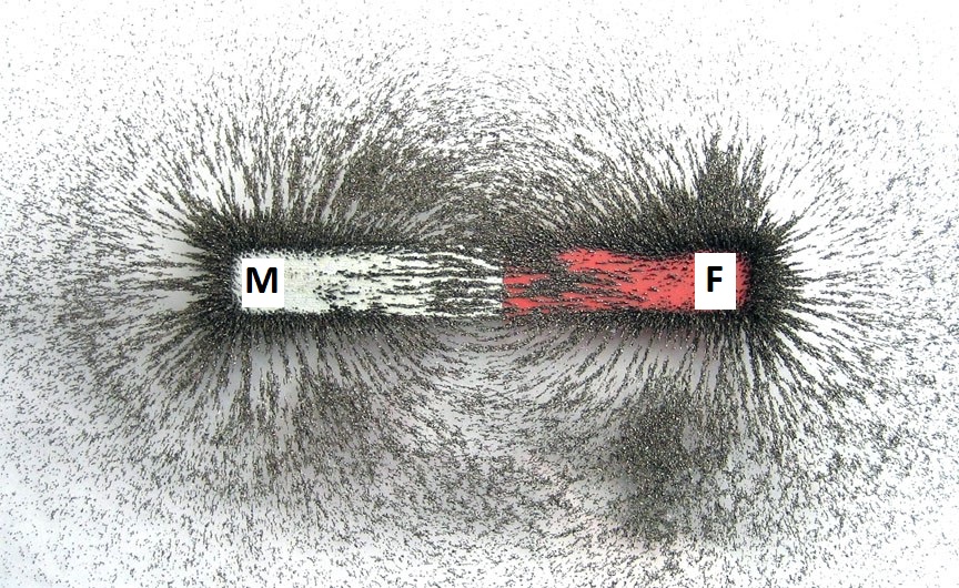 Magnet-Iron-Filings