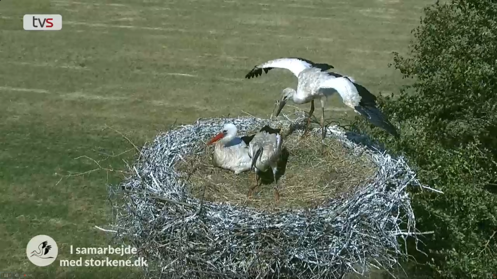 2019-06-30 16_29_25-Greenshot