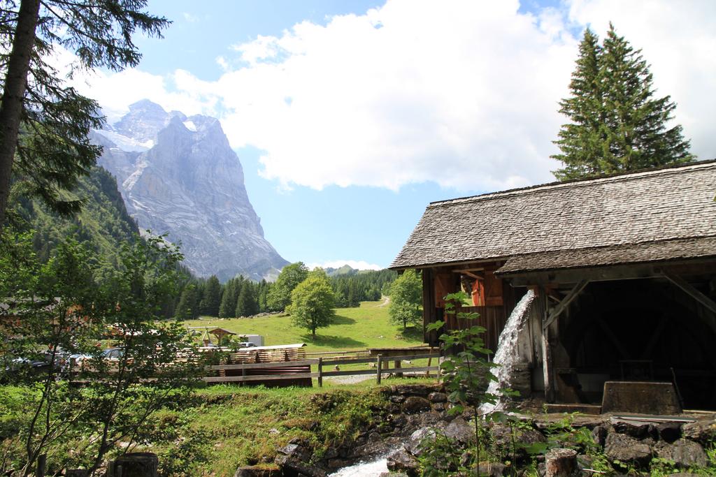 CÓMO SUIZA NOS ATRAPA POR 5º VERANO CONSECUTIVO + CARENNAC Y LOUBRESSAC - Blogs de Suiza - ROSENLAUI: otra perspectiva del Eiger (5)