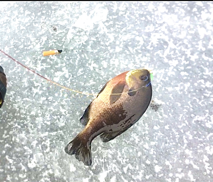 0B5B70F1-58BE-4522-92E4-41187EBB82E5