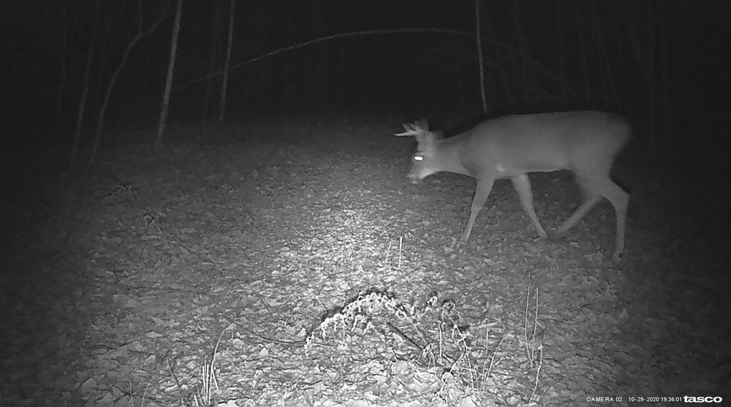 15EEEC69-37BD-4966-9462-E145A55D155D