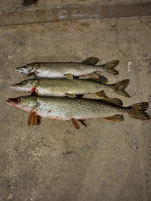 IMG 20260228 195031 HDR