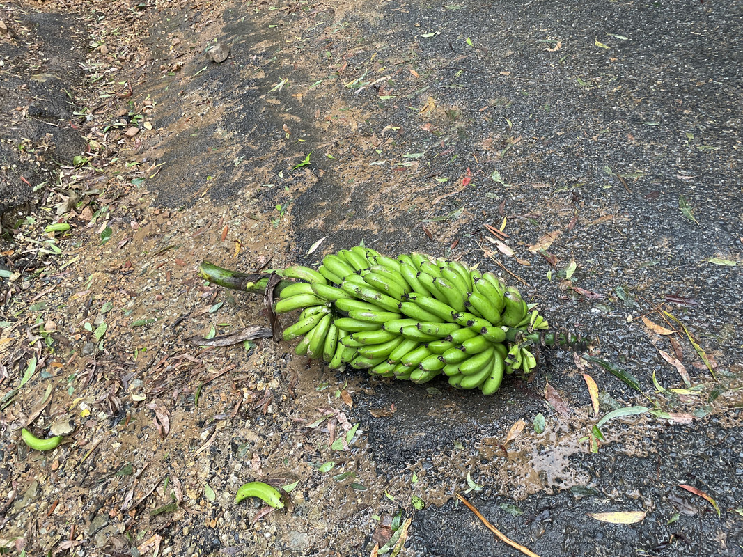 CF3E903D-D0CF-499C-8115-6F5203A91437