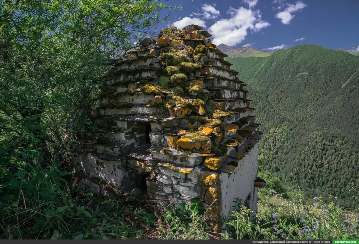 EA7920DE-3149-4DB2-ADBE-25B936757FD3