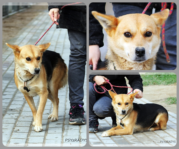 BeFunky-collage (24)