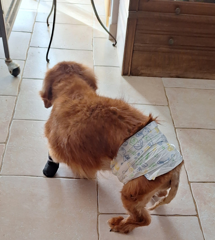 [Image: 20250306-103021.jpg]