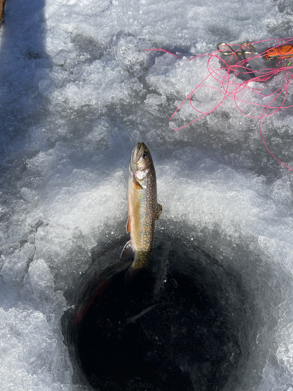 73345BE3-72AB-4C46-8C1C-4DA4F47F7FFB