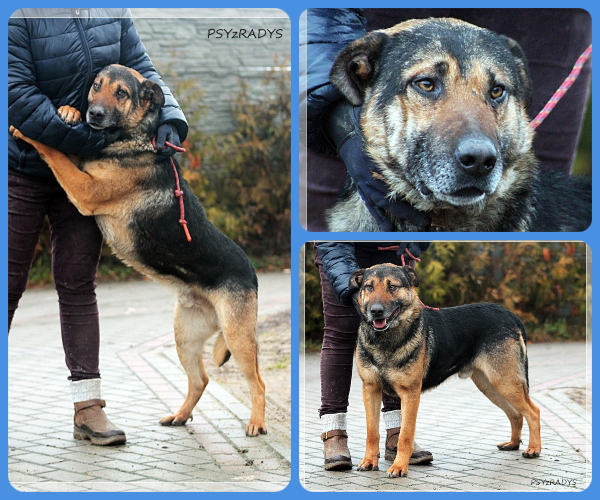 BeFunky-collage (15)