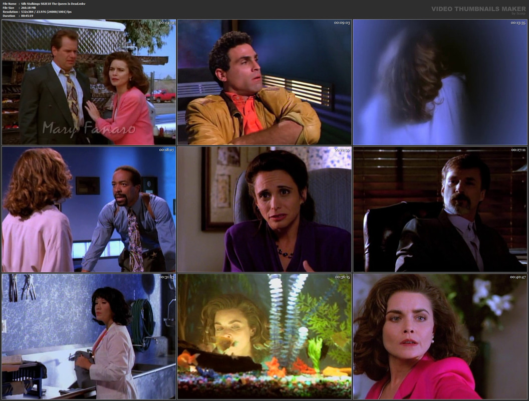 Silk Stalkings S02E10 The Queen Is Dead.mkv