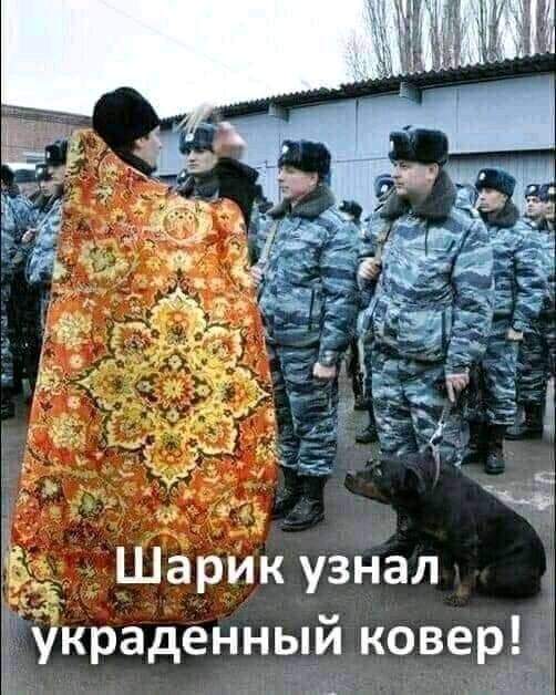 274003606_698574951309734_172519067706621909_n