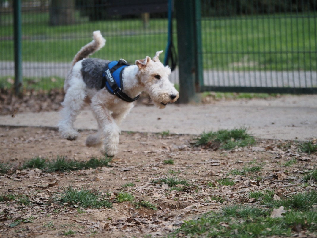 12191146-A957-40C6-BE2F-40550B4D1C8D