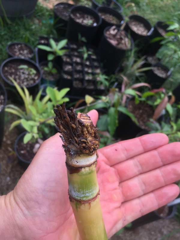 C55D7989-DA09-4546-88E9-55271896A826