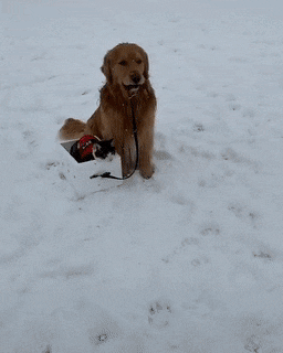 daily-gifdump-3386-24.gif