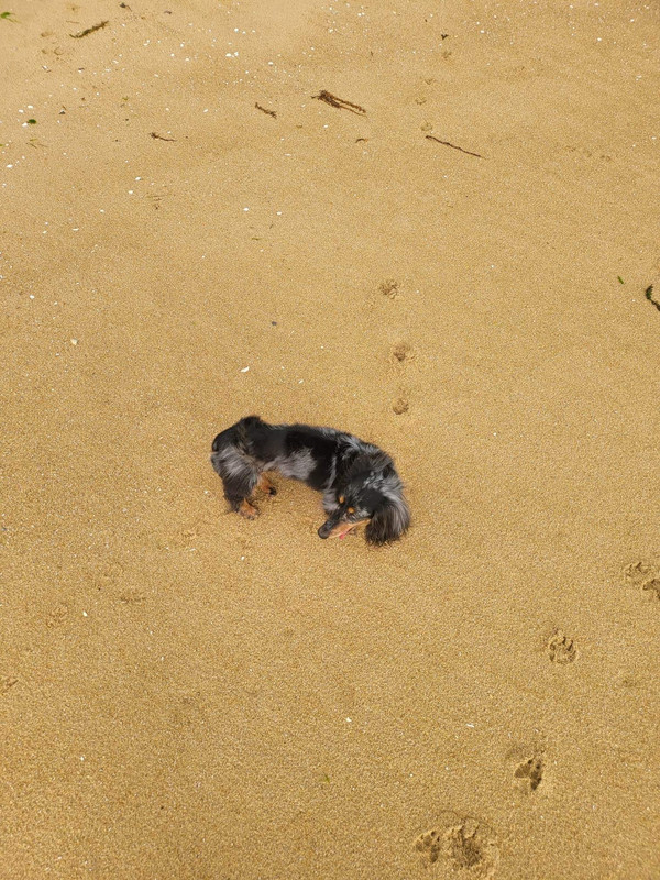 [Image: IMG-9473.jpg]