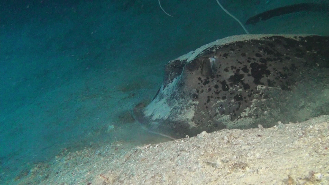 vlcsnap-2023-12-21-20h48m41s407