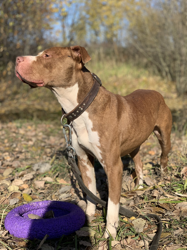 AD87E48D-0EFE-4924-84CF-D42BDFBCB747