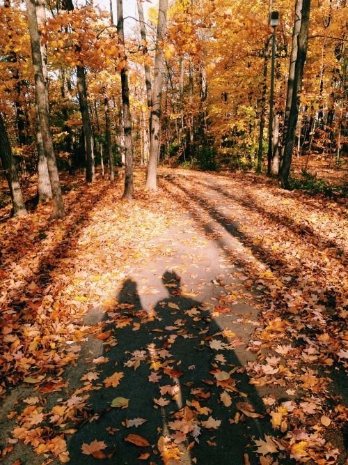 a965a848f6d0731db37c90affbe3996a