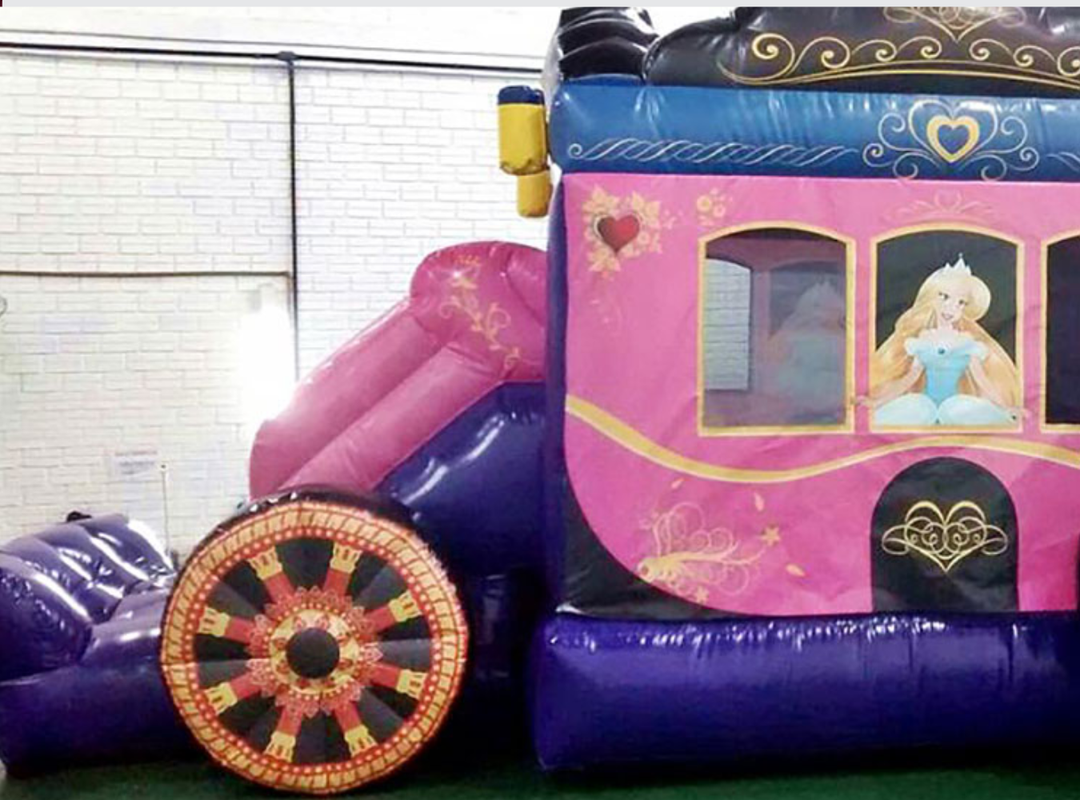 Carruagem Luxo - Foto 4