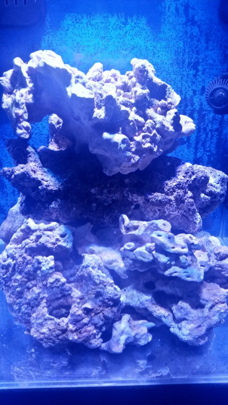 20161103_225947_Richtone(HDR)[1]