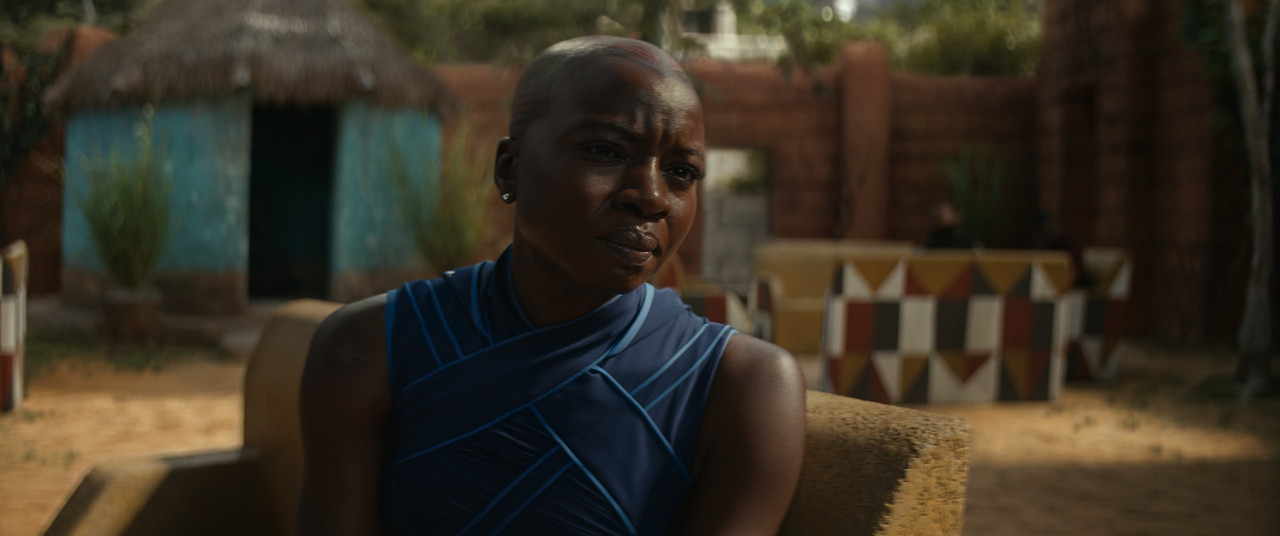 Black Panther - Wakanda Forever (2022)-01_30_55-130800