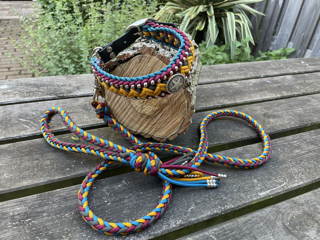 37020F4E-1626-46B8-AE7B-EF866C70CD44