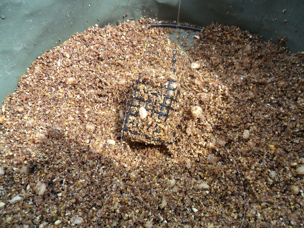 Кочебахтино 2.08.13 6