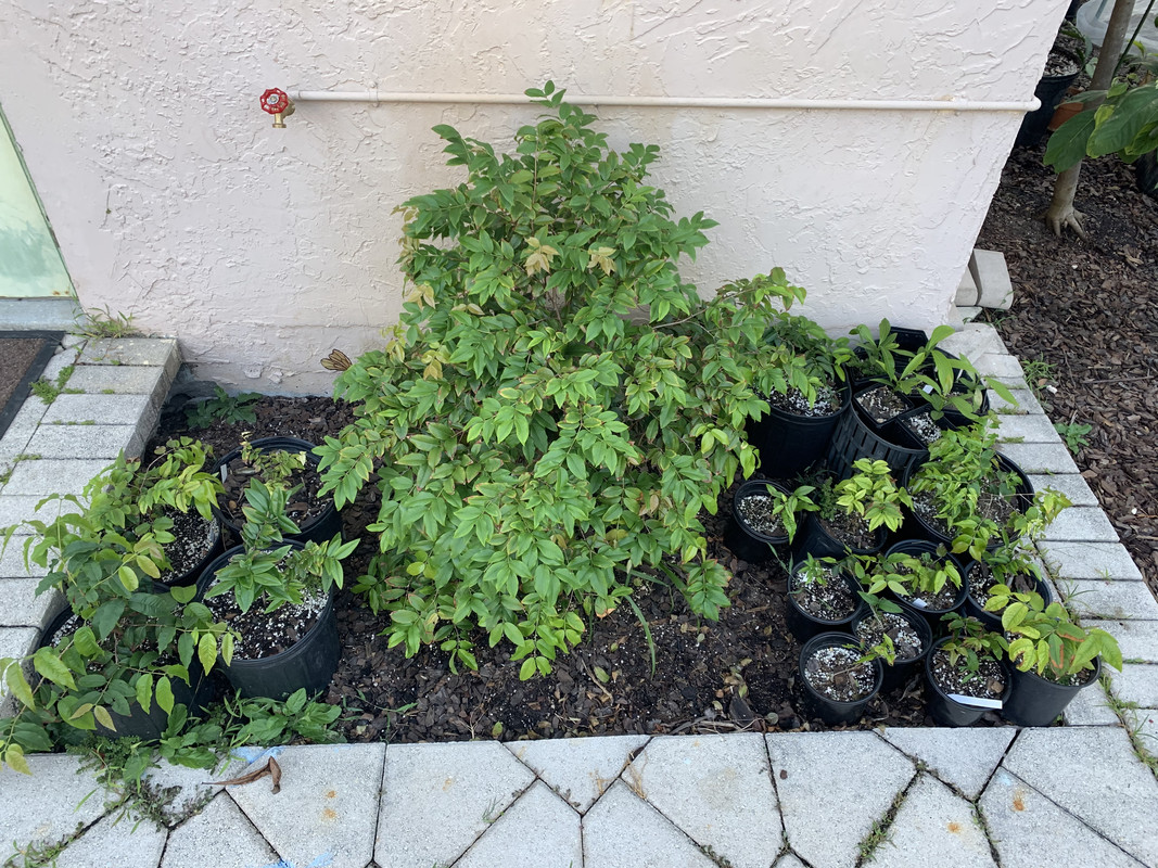 39E21370-40F6-4D4C-859D-F26C5C5CD7A6