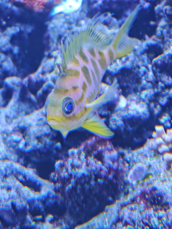 IMG 20260809 000711