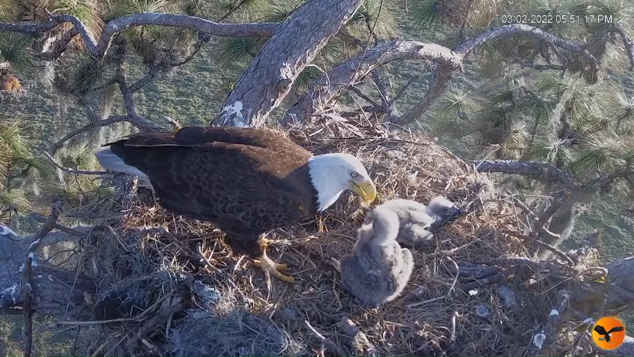 EC 4K Overhead Cam 2-58-14 screenshot