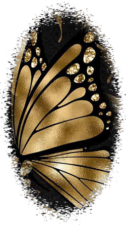 381a77023b4b28304300d60cfb4578ae