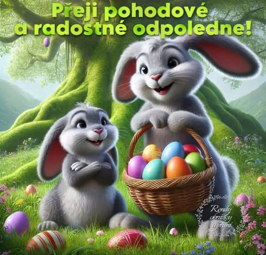 659977589-1260590632850320-4506088450637555723-n