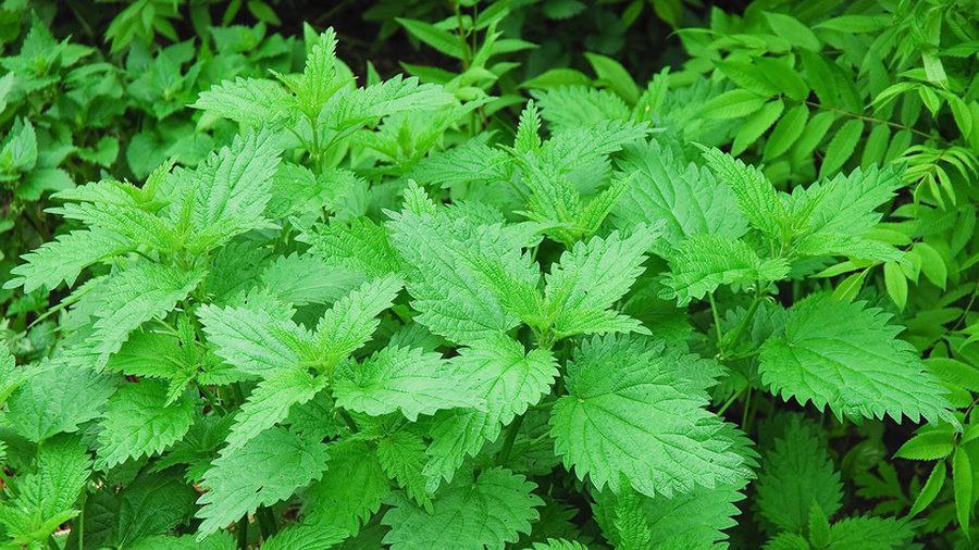 [Изображение: photo-2025-12-15-02-13-17.jpg]