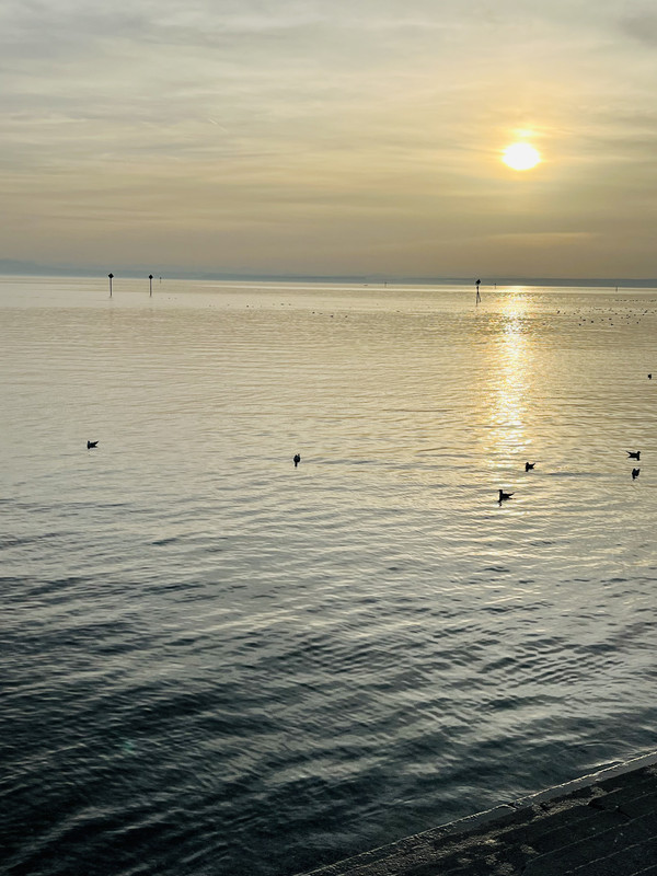 1EB30E39-1831-4F2C-BD11-B47D901203F3