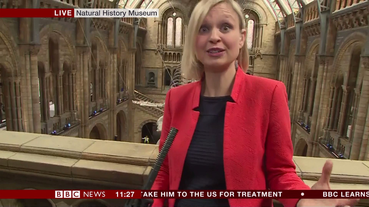 BBC Newsroom Live_20170713_11001130.ts_snapshot_