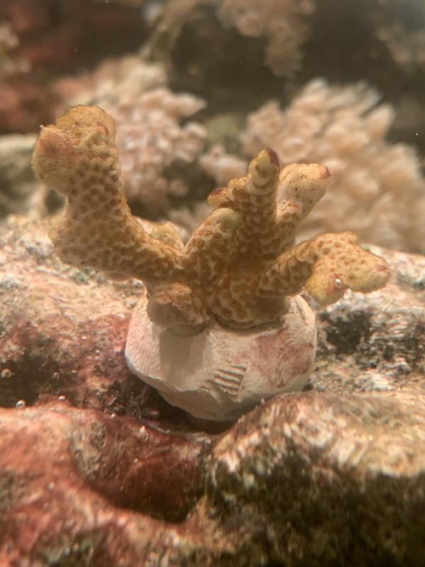 7537E26A-8989-4A52-9BFF-0866A90C7DA5