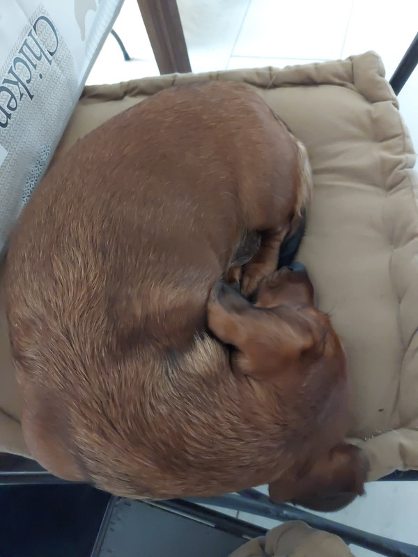 [Image: IMG-20251105-071340.jpg]