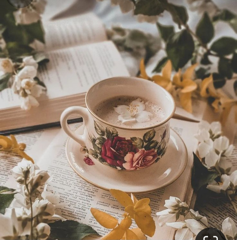 Screenshot_20240404_221354_Pinterest