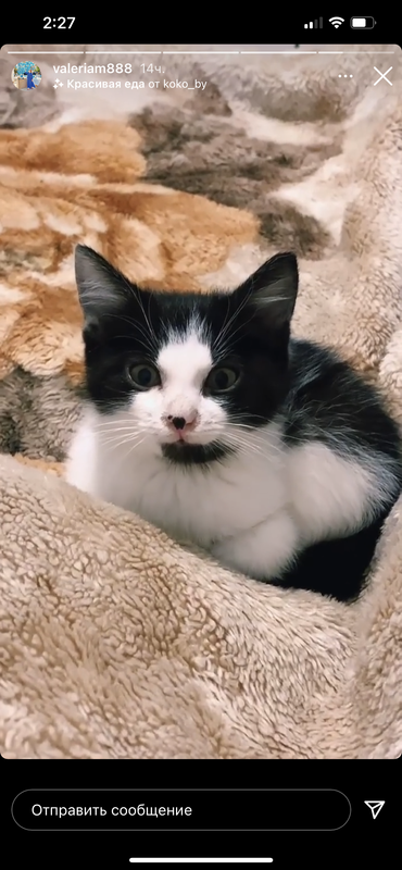 A84860AD-B001-4C73-8C51-FA7F0D78E2B3