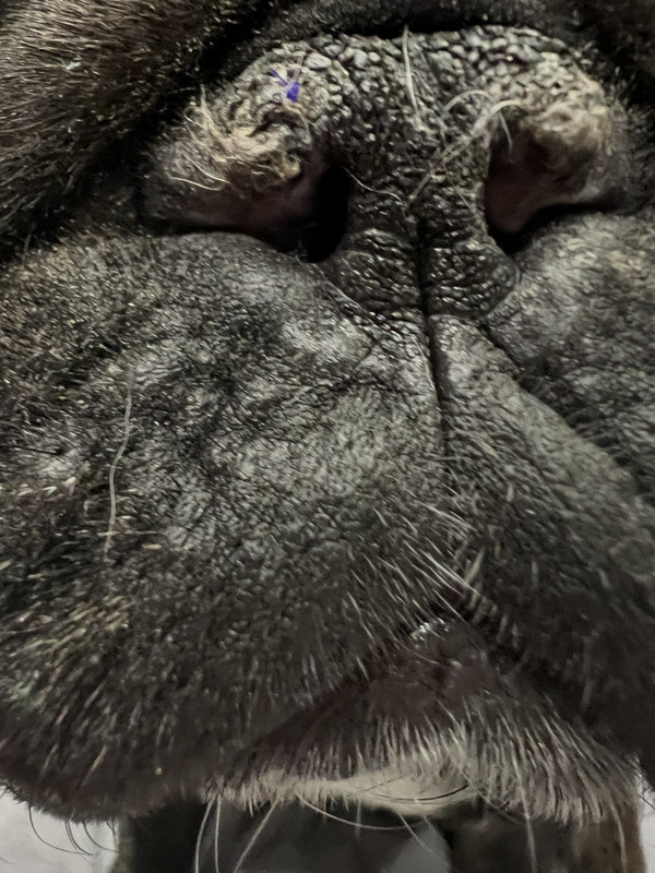 0BC292B9-7658-47F6-B35A-90D7541D9ED0