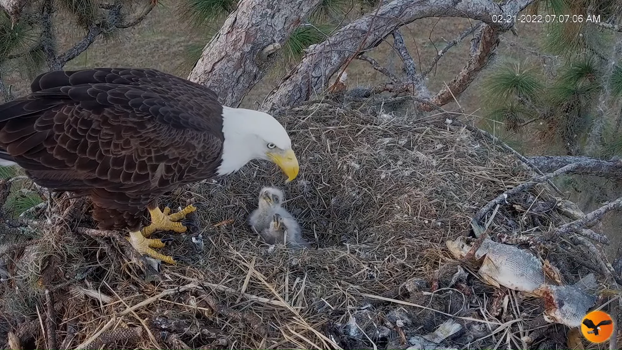 EC 4K Overhead Cam 13-7-17 screenshot