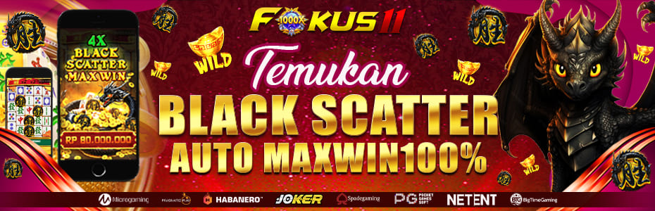 FOKUS11