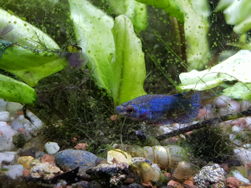 31DB56D1-BD3E-400A-B8CC-78874F5CDCD1