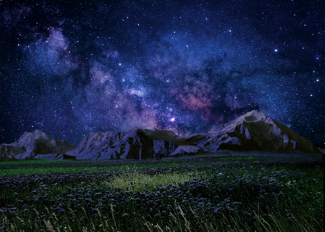 03D470B6-BF23-413B-8C6A-06846B578269