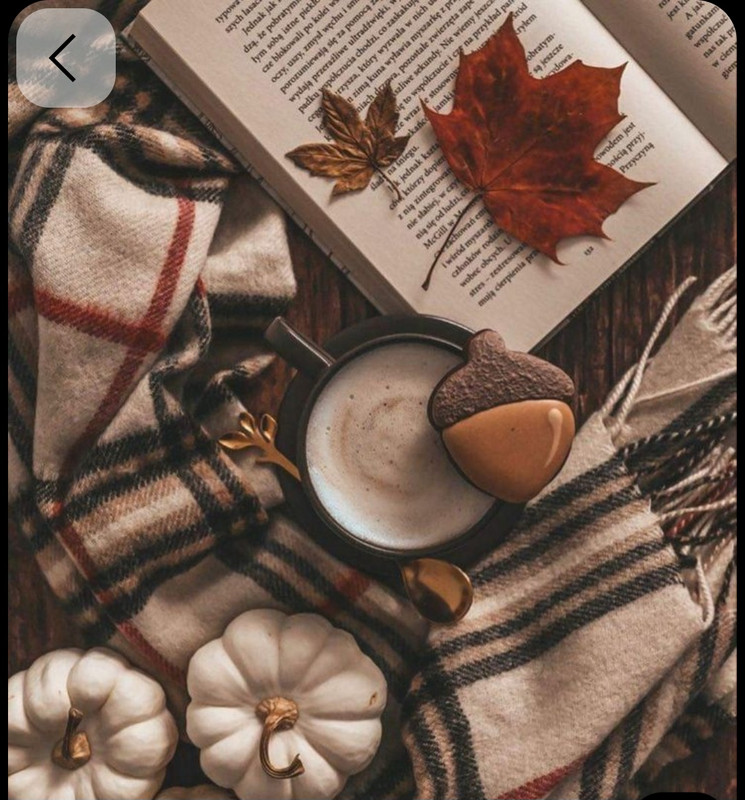 Screenshot_20251002_210906_Pinterest