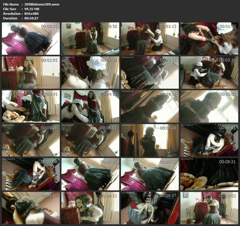 309Bbdsmm309.wmv