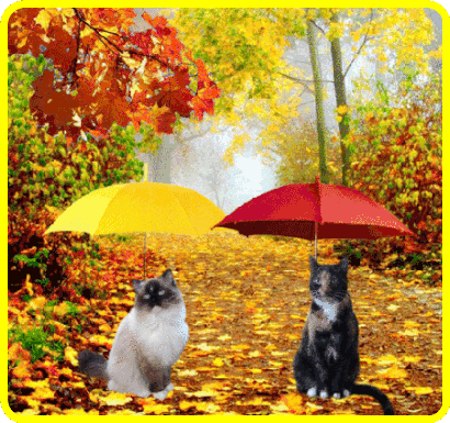 blogjrs12nov.gif